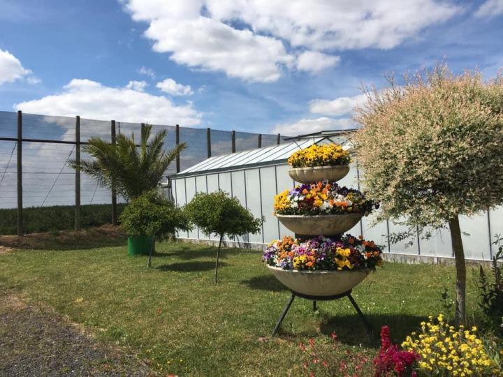 Fleuriste Bertincourt