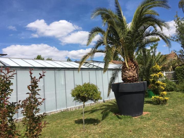 Vente de plantes et de fleurs Bertincourt