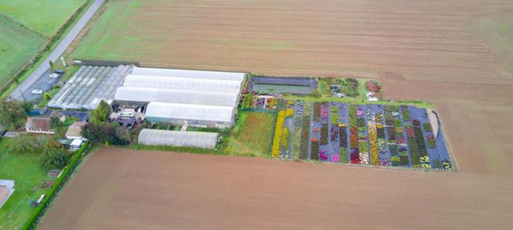 Vente de plantes et de fleurs Bertincourt