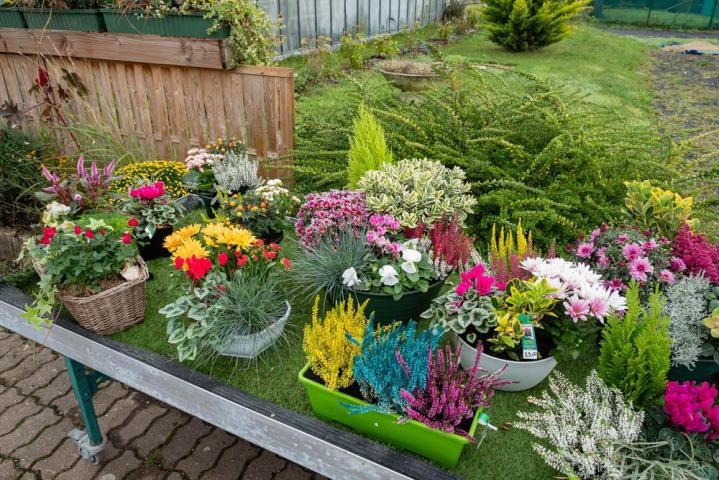 Composition florale Bertincourt