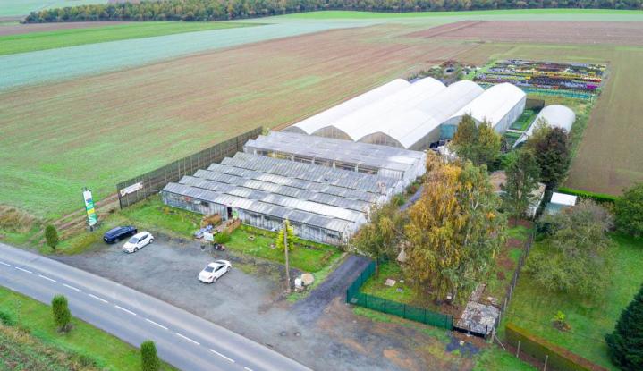 Vente de plantes et de fleurs Bertincourt