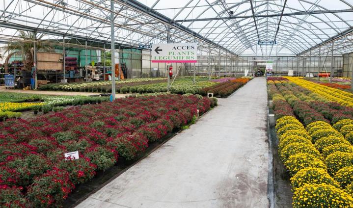 Commercialisation de plantes et de fleurs Bertincourt