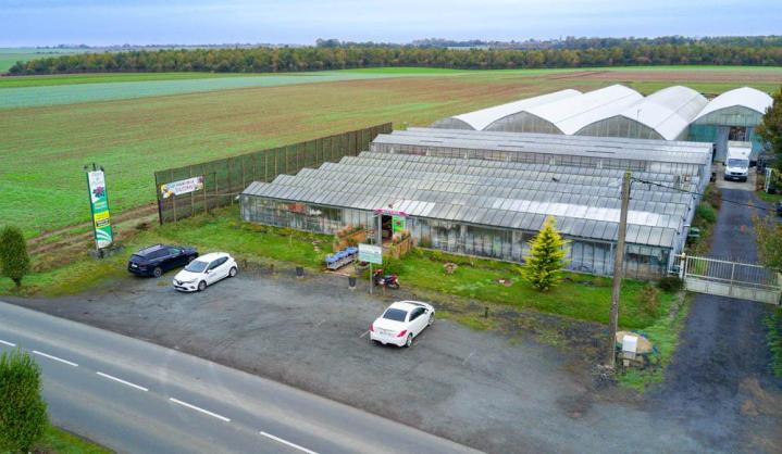 Vente de plantes et de fleurs Bertincourt