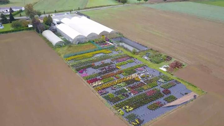 Vente de plantes et de fleurs Bertincourt