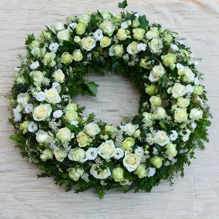 Quelles plantes d'intérieur sont idéales pour les débutants en jardinage dans la ville de Bertincourt ?<br/>Quelles plantes d'intérieur sont idéales pour les débutants en jardinage à Bertincourt ?<br/>Quelles plantes d'intérieur sont idéales pour les débutants en jardinage à proximité de de Bertincourt ?<br/>