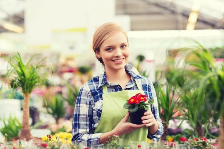 Quelles plantes choisir pour un jardin florissant à Bertincourt ?<br/>Comment créer un jardin verdoyant à Bertincourt?<br/>Quelles plantes choisir pour un jardin florissant dans la ville de Bertincourt ?<br/>