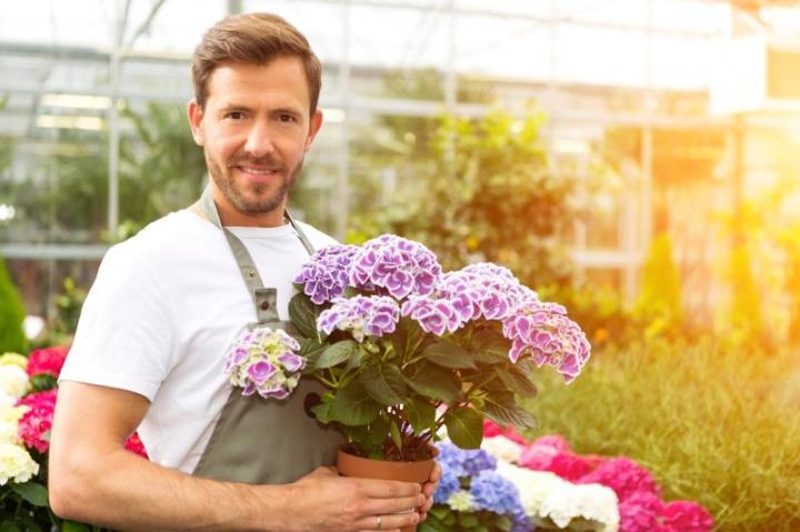 Vente plantes et fleurs dans la ville de Péronne <br/>Vente plantes et fleurs près de Péronne <br/>Vente plantes et fleurs à proximité de Péronne <br/>